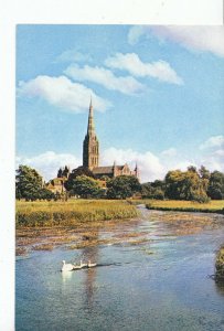 Wiltshire Postcard - Salisbury Cathedral from The River Avon    AB1882