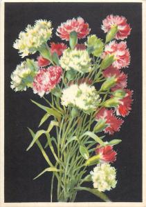 Carnation flowers semi-modern fantasy postcard