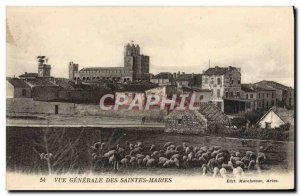 Old Postcard General view of Saintes Maries Sheep