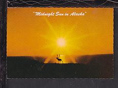 Midnight Sun in Alaska Postcard BIN 