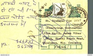 India Postal Stationery Tiger 25 Blackbuck Jaipur