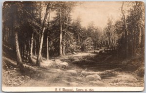 Stream Forest Trees Pines Woods Scenic Picturesque Nature View Postcard