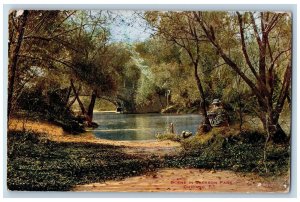 Chicago Illinois IL Postcard Scene In Jackson Park Trees And Lake 1911 Antique