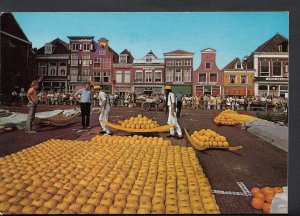 Netherlands Postcard - Alkmaar - Kaasmarkt  B2638