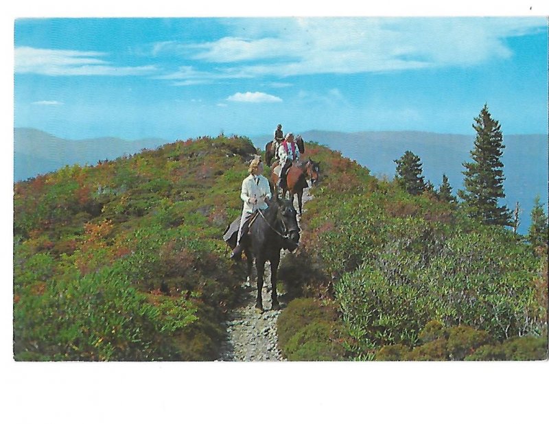 Horseback Riders High on Trail to Mt. LeConte Smokey Mountains Tennessee