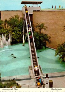 Florida Tampa Busch Gardens Stairway To The Stars