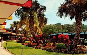 Florida Silver Springs Main Administration Building Garden