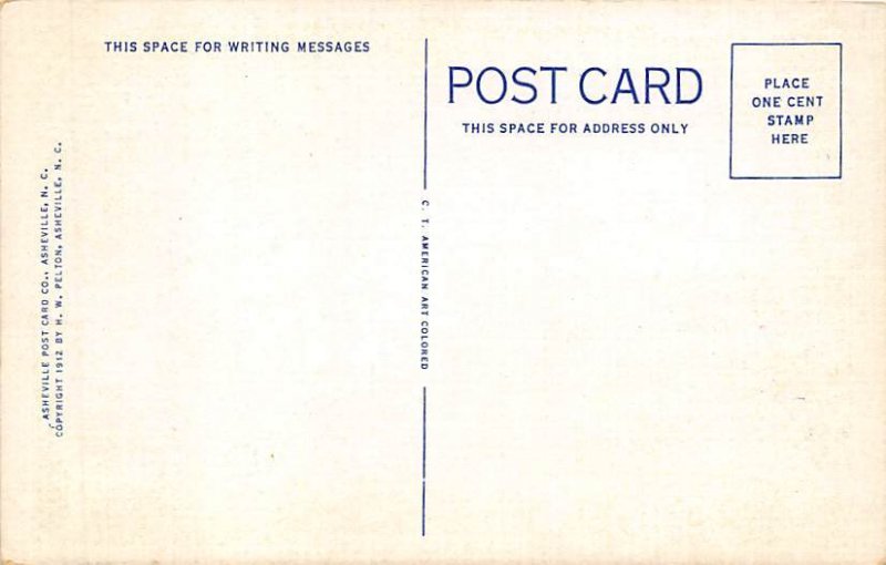 The Rat Mount Pisgah, North Carolina NC Postcard