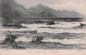 Lake Wakatipu A Fresh Breeze New Zealand Old Postcard Please Read