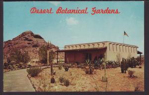 Desert Botanical Gardens,Phoenix,AZ Postcard BIN
