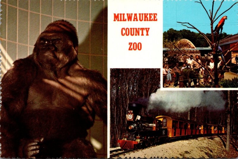 Wisconsin Milwaukee County Zoo Gorilla Miniature Train & More