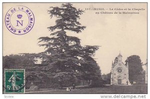 Le Cedre Et La Chapelle Au Chateau De La Malmaison, Rueil (Hauts-de-Seine), F...