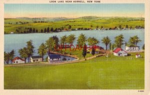 LOON LAKE near HORNELL, NEW YORK