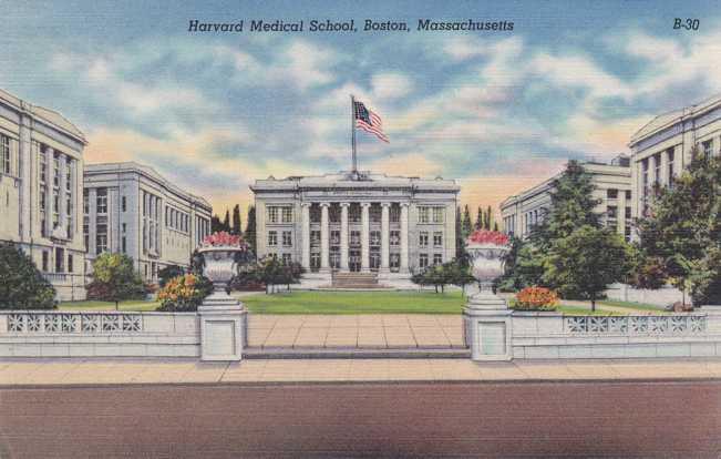 Harvard Medical School - Boston MA, Massachusetts Linen