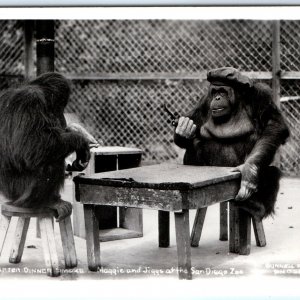 c1940s San Diego, CA Apes Smoke Pipe Tobacco Postcard Monkey Anthropomorphic A91