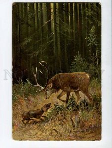 285414 HUNT Deer & POINTER by MULLER Mueller Vintage TSN postcard