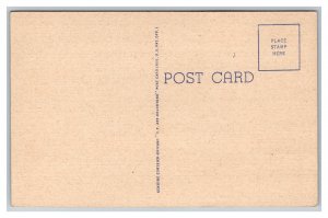 Greetings From IOWA LARGE Letter Postcard