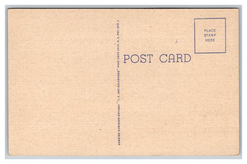 Greetings From IOWA LARGE Letter Postcard