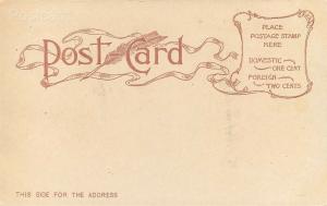 CA, Mossbrae Falls, California, Undivided Back, Edward H. Mitchell No. 179