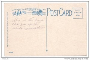 Mt Washington NH Cog Railway Train on Jacobs Ladder J V Hartman Postcard ca 1915