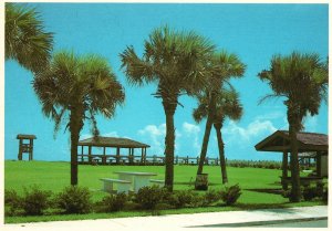 Postcard Beautiful Spacious Public Park Along Island Hutchinson Island Florida