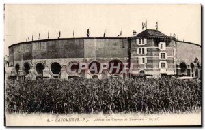 Bayonne - Arenes Bulls racing - Old Postcard