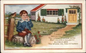 Little Boy Crying After Stung by Bumblebee COMIC c1910 Postcard