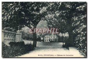 Old Postcard Culoz Chateau du Colombier