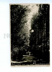 498476 USSR Kazakhstan Alma-Ata Gorky Park Culture and Leisure Birch Alley photo