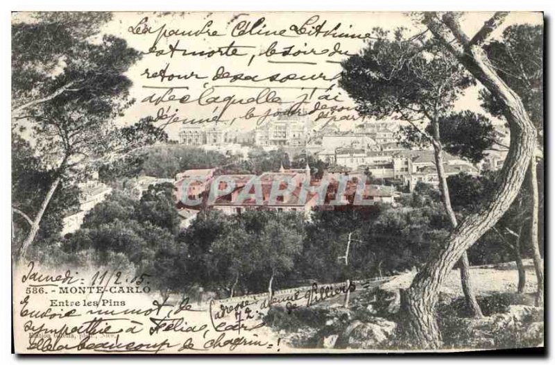 Old Postcard Monte Carlo between Pins