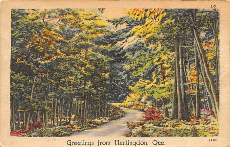Trees and road Huntingdon, Quebec, Canada 1947 