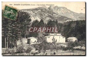 Old Postcard Foret d & # 39Aitone Corsica Corsica The forestry house