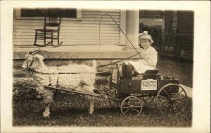 Minneapolis MN Little Tots Photo Co Girl Goat Drawn Advertising Wagon RP