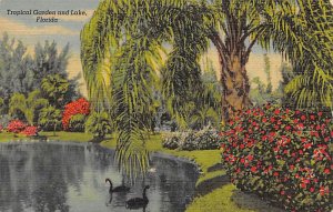 Tropical Garden and Lake Sarasota FL Postcard