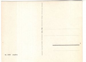 Jungfrau, Bernese Alps, Mountains, Switzerland