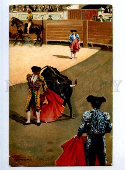 176854 Una Veronica BULL Matador Torero Vintage Color Stengel