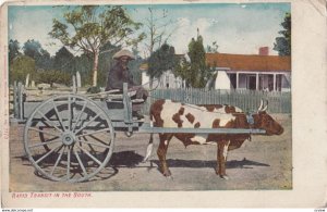 Ox Cart , 1900-10s #2