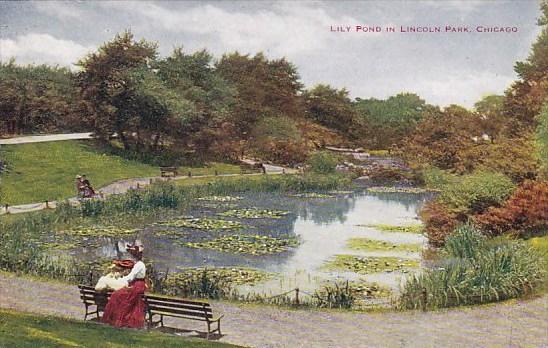 Illinois Chicago Lily Pond In Lincoln Park