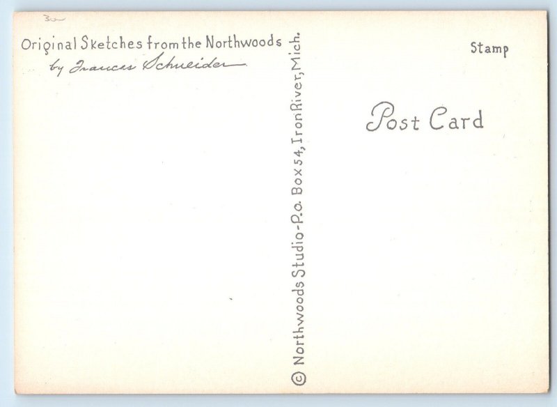 Moose Original Sketch From Northwoods By Frances Schueider Signed Postcard