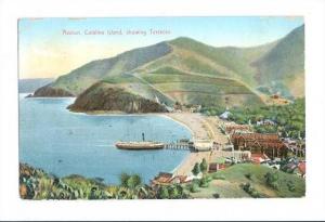 LP29    Santa Catalina Island, California, CA,  postcard, 