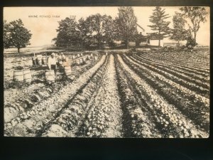 Vintage Postcard 1948 Maine Potato Farm