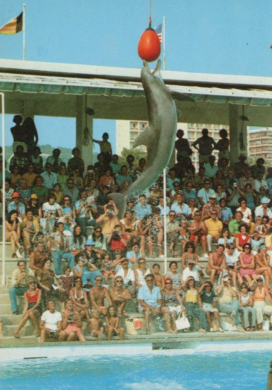 Spain Postcard - Marineland, Costa d'en Blanes, Mallorca - Dolphin RR9026