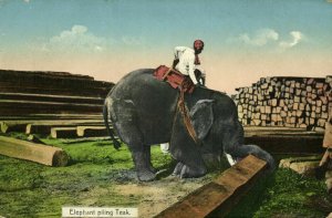 burma, Elephant piling Teak (1910s) D.A. Ahuja Postcard No. 111