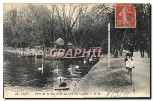 Old Postcard Lyon Tete d'Or Park The Corner Swans