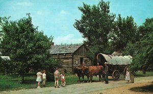 Vintage Postcard Ox Team And Historic Conestoga Wagon State Park New Salem IL