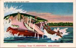 Postcard Exaggeration Freak Fish #248 AR Clarendon The fish keep you busy here