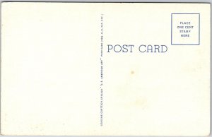 Public Library Manistee Michigan Flag on Grounds Building Postcard