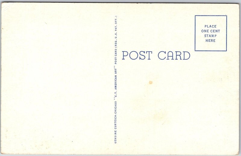 Public Library Manistee Michigan Flag on Grounds Building Postcard