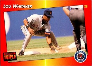 1992 Donruss Baseball Card Lou Whitaker Detroit Tigers sk3176