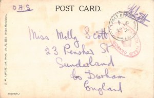 Animals 1916 Humanized Elephant Play bagpipe Art F Lewin WWI field postcard B921